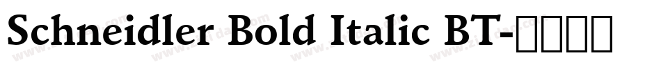Schneidler Bold Italic BT字体转换